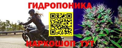 гашишное масло Канаш