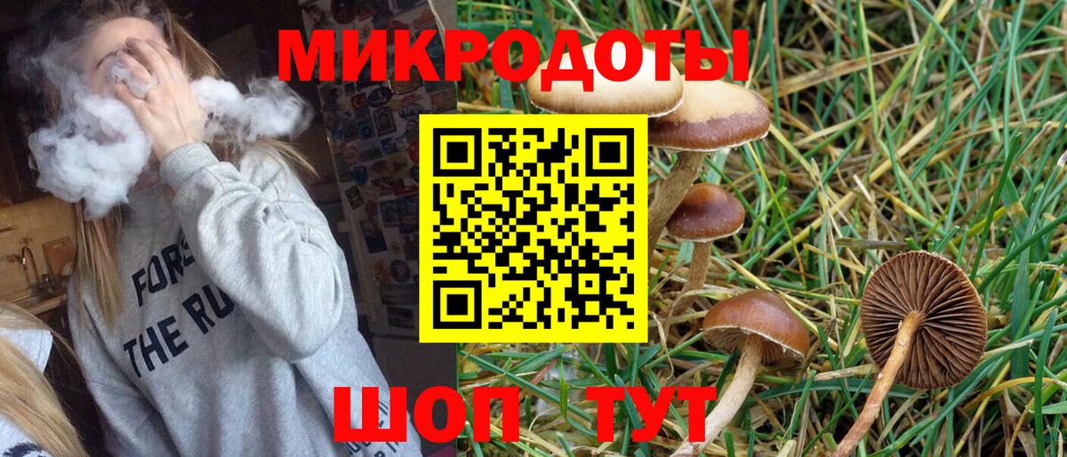 Псилоцибиновые грибы прущие грибы  Галлюциногенные грибы ЛСД  Вход с VPN  Заволжье 